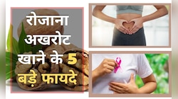 हेल्दी आंत से लेकर स्तन कैंसर के खतरे को कम करने तक,जानिए क्यों रोज खाने चाहिए अखरोट