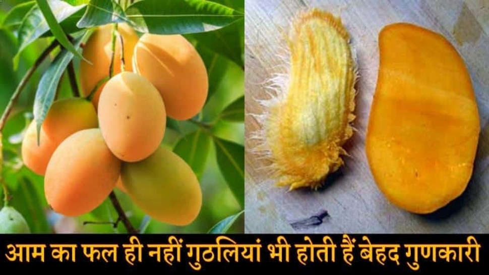 How To Use Mango Kernel Aam Ki Guthli Ke Fayde Hindi News, आम की