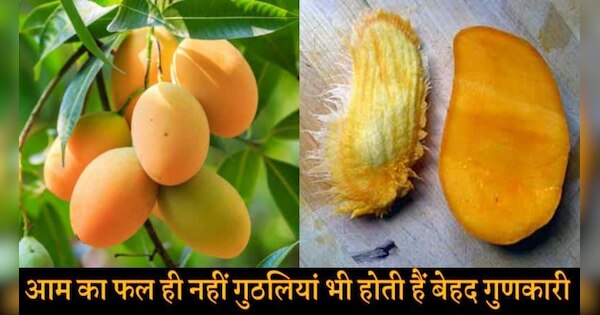 How To Use Mango Kernel Aam Ki Guthli Ke Fayde | Hindi News, आम की ...