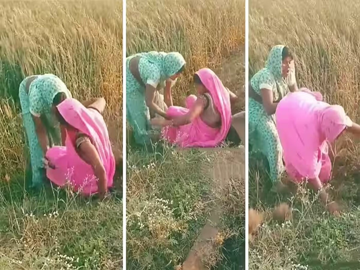 खेत में दो महिलाओं में हुई पटका-पटकी, Video देख पेट पकड़कर हंसेगे आप