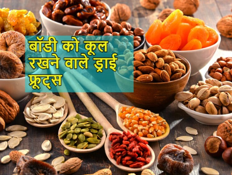 dry fruits in summers will keep body cool eat walnut like this