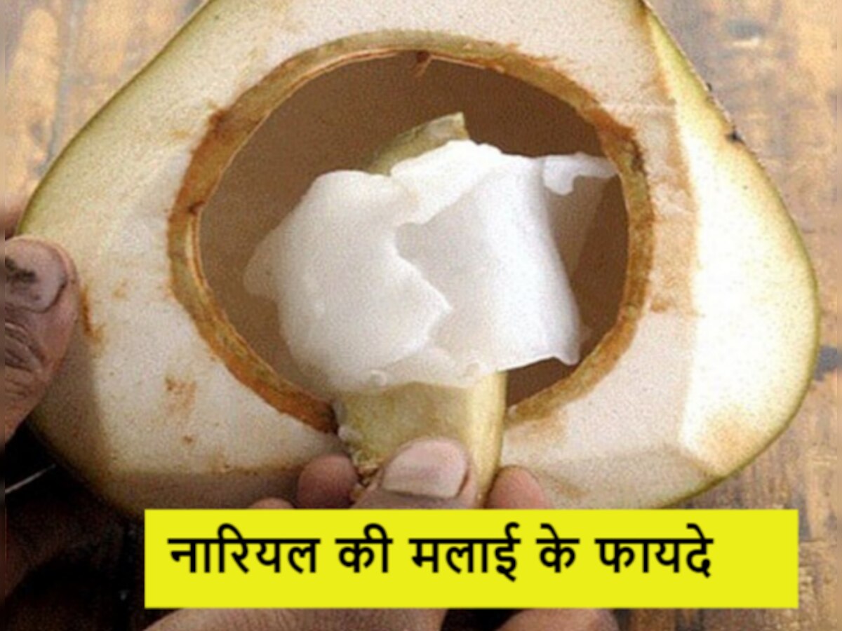 Coconut Benefits: वजन घटाने के लिए इस फल की मलाई है कारगर, अन्य फायदों पर डालें एक नजर!