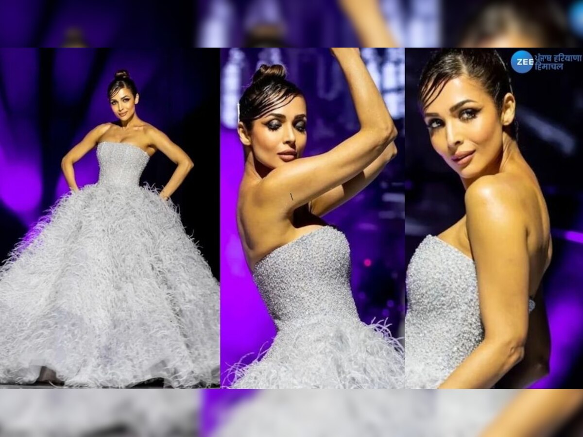 Malaika Arora ਨੇ ਆਫ ਸ਼ੋਲਡਰ ਡਰੈੱਸ 'ਚ ਦਿੱਤਾ ਕਿਲਰ ਪੋਜ਼; ਸ਼ੇਅਰ ਕੀਤੀਆਂ ਬੋਲਡ ਤਸਵੀਰਾਂ