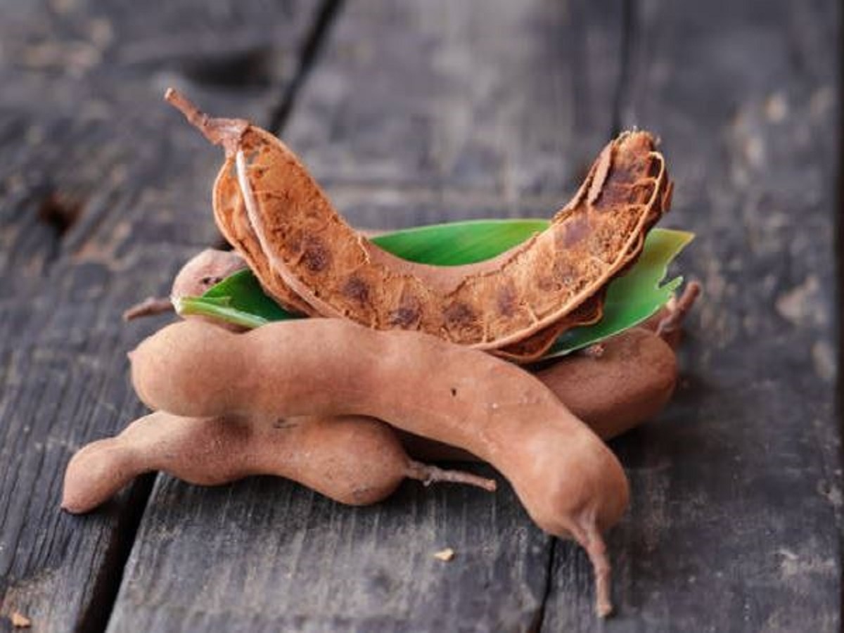 Report Photo gallery Chew raw tamarind leaves diabetes and Blood Sugar