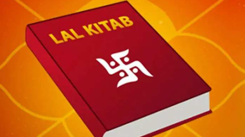 पक्षियों और जानवरों को दाना डालें