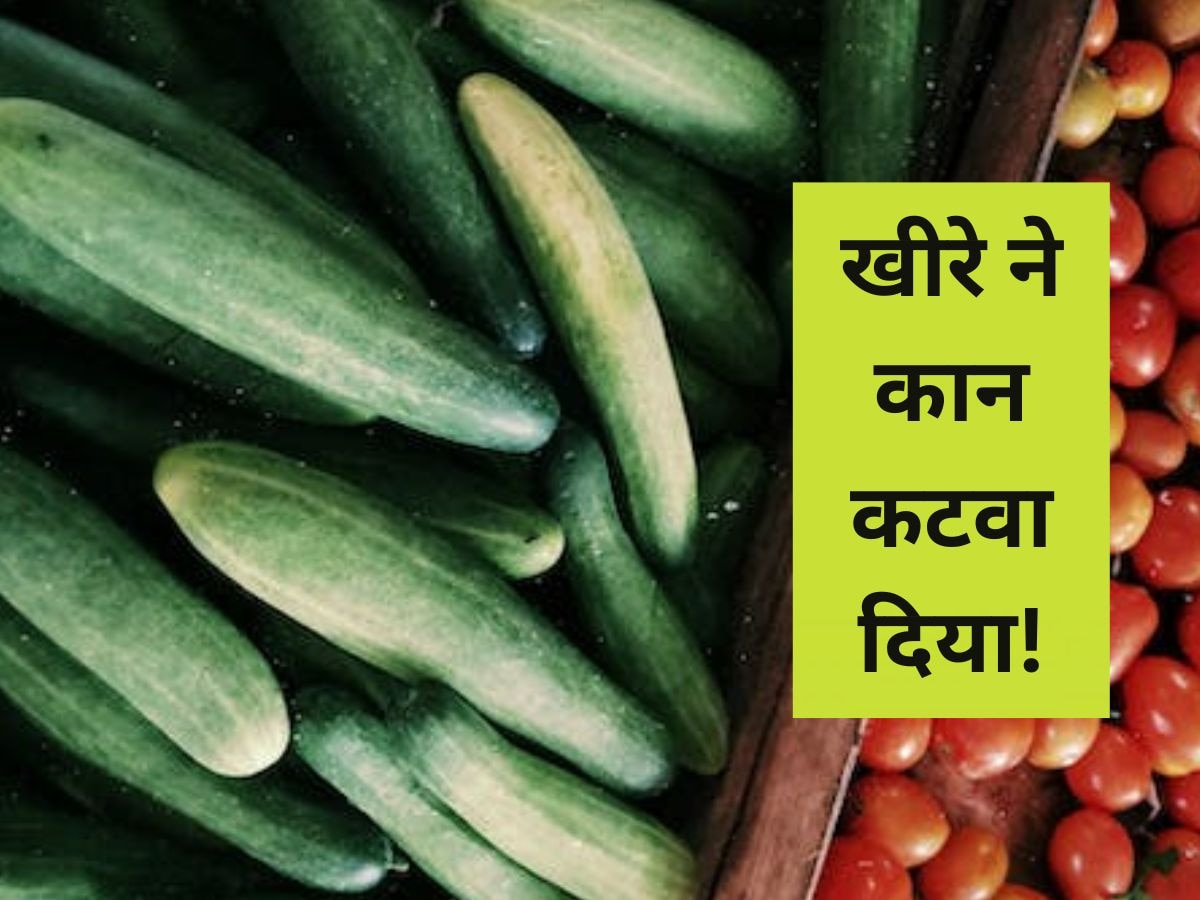 Cucumber: उधार में मांग लिया खीरा तो भड़क गया दुकानदार, अपने दांत से ग्राहक का कान काट लिया और फिर...