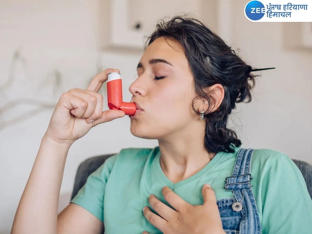 World Asthma Day 2023: ਅਸਥਮਾ ਤੋਂ ਪੀੜਤ ਵਿਅਕਤੀ ਨੂੰ ਕੀ ਕਰਨਾ ਚਾਹੀਦਾ ਹੈ ? ਜਾਣੋ ਲੱਛਣ ਤੇ ਰੋਕਥਾਮ ਦੇ ਉਪਾਅ