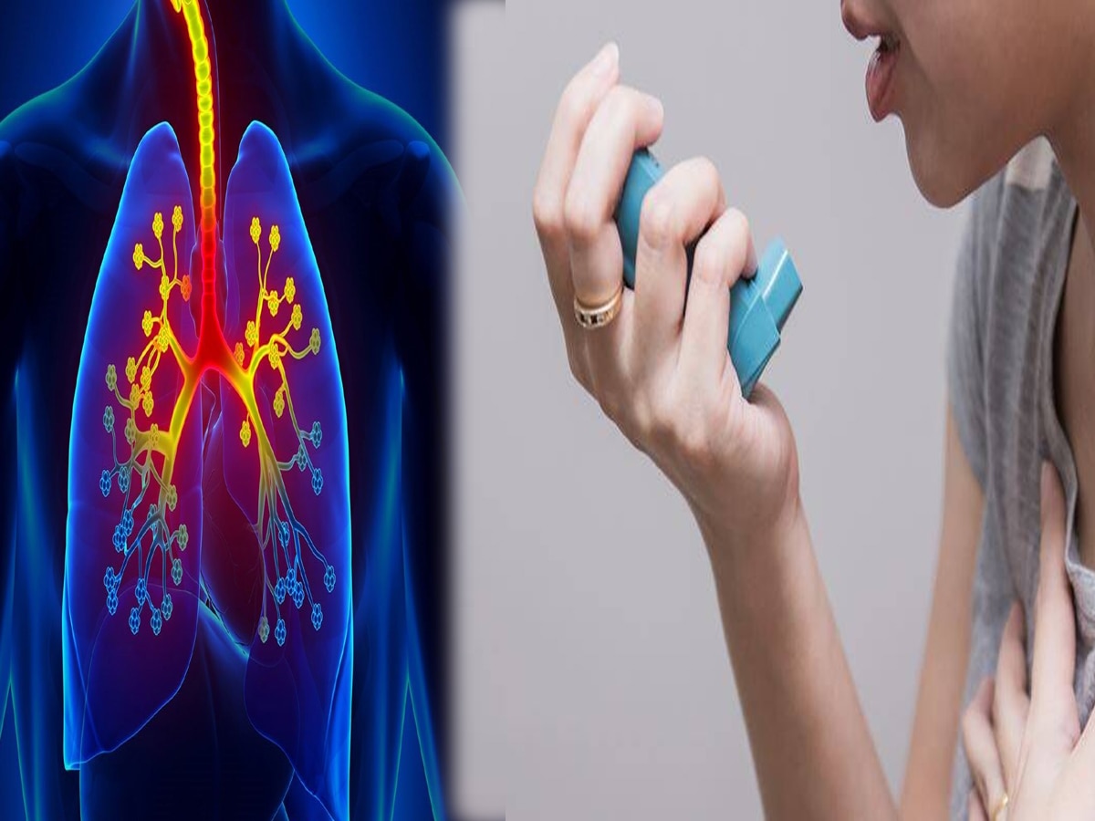 Asthma Day: क्यों होत है अस्थमा, जानें लक्षण और कैसे करें परहेज