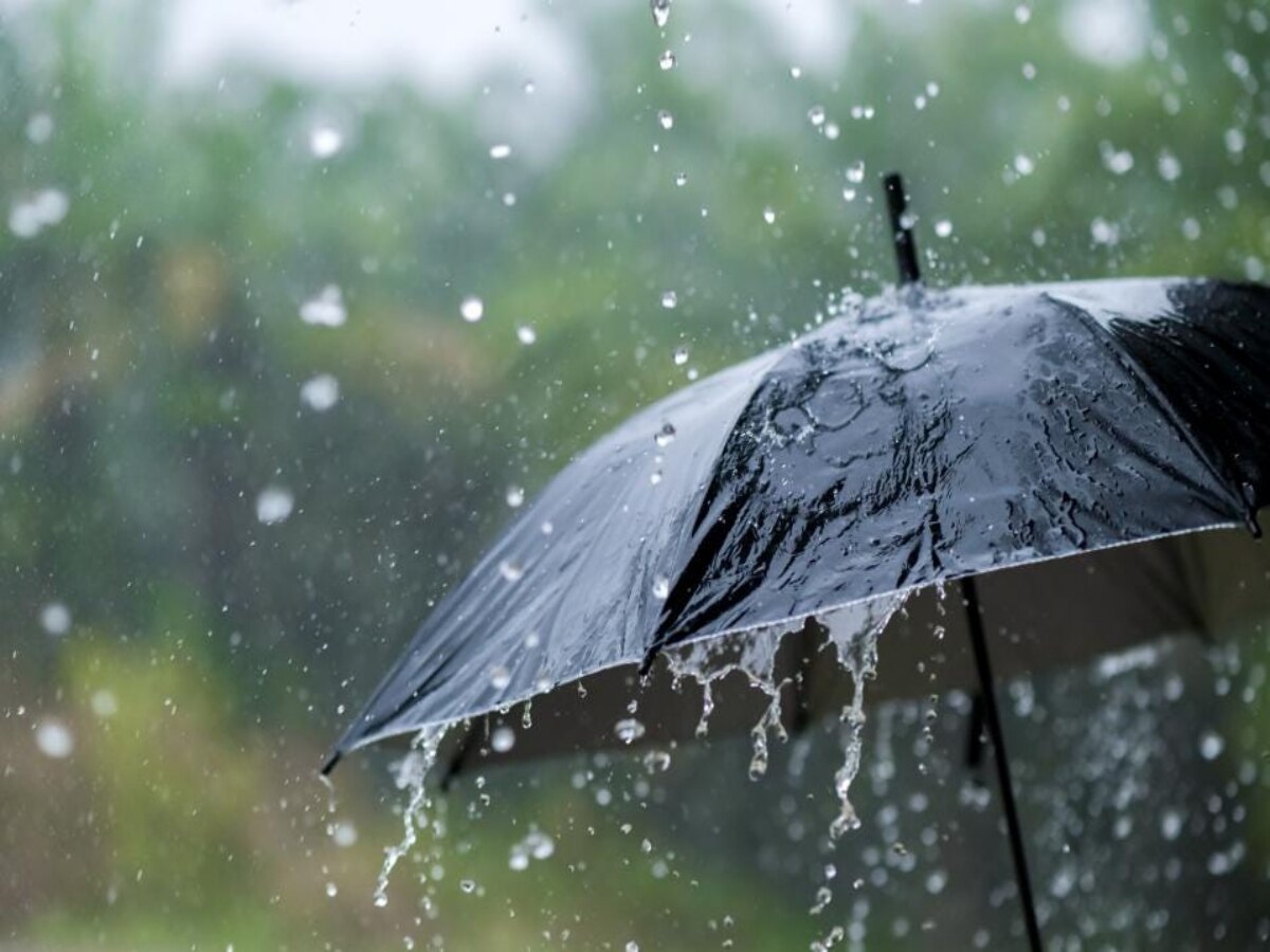 Rain Alert: घर से निकलने से पहले सावधान, MP के 22 जिलों में अलर्ट, छत्तीसगढ़ में भी बरसेंगे बदरा