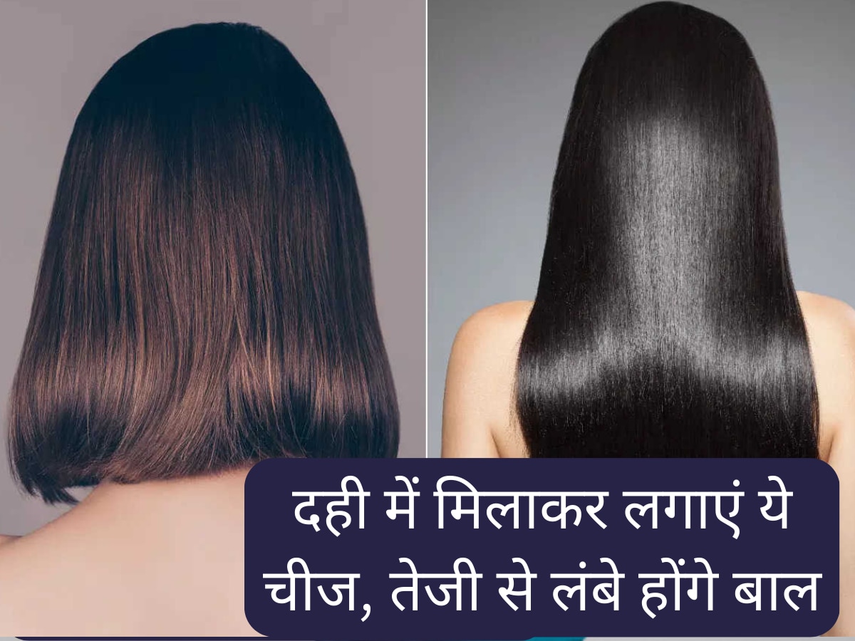 hair care tips mixing cheese in curd and applying it will make hair