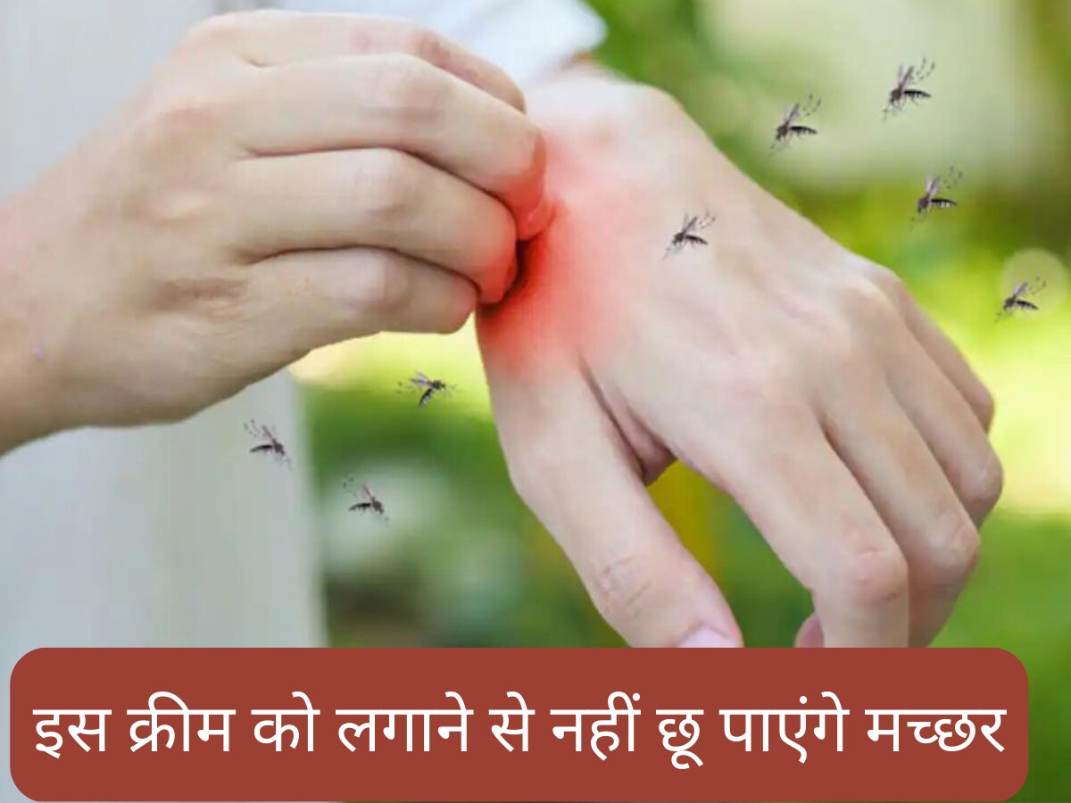 mosquito repellent home remedies how to stay safe from mosquitoes