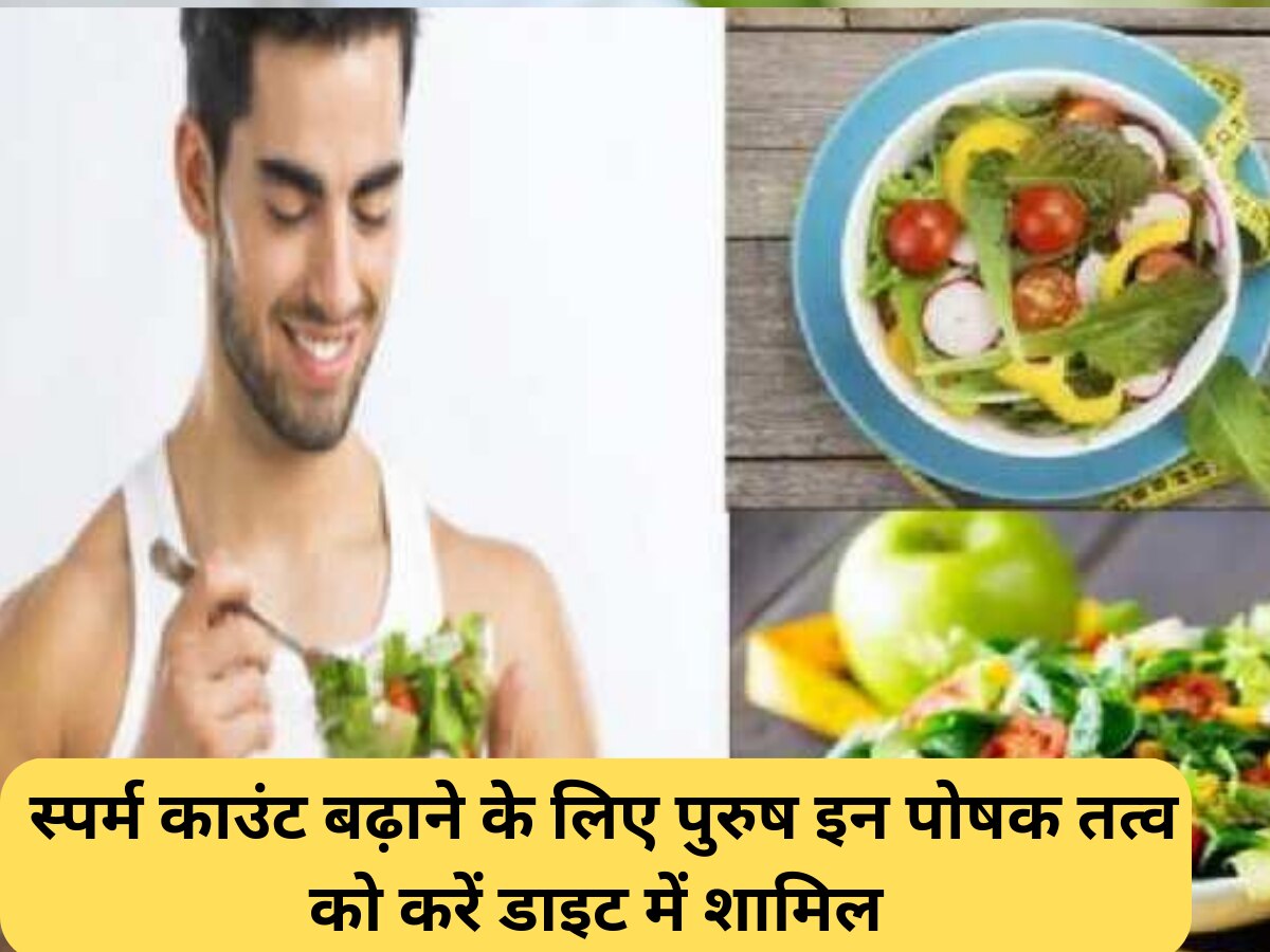 Male Health Tips: पुरुष इन पोषक तत्व को जरूर करें डाइट में शामिल, स्पर्म काउंट होगा बेहतर