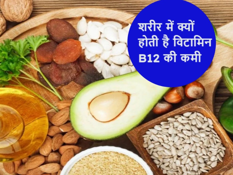 deficiency of vitamin B12 in body which foods included in diet to avoid