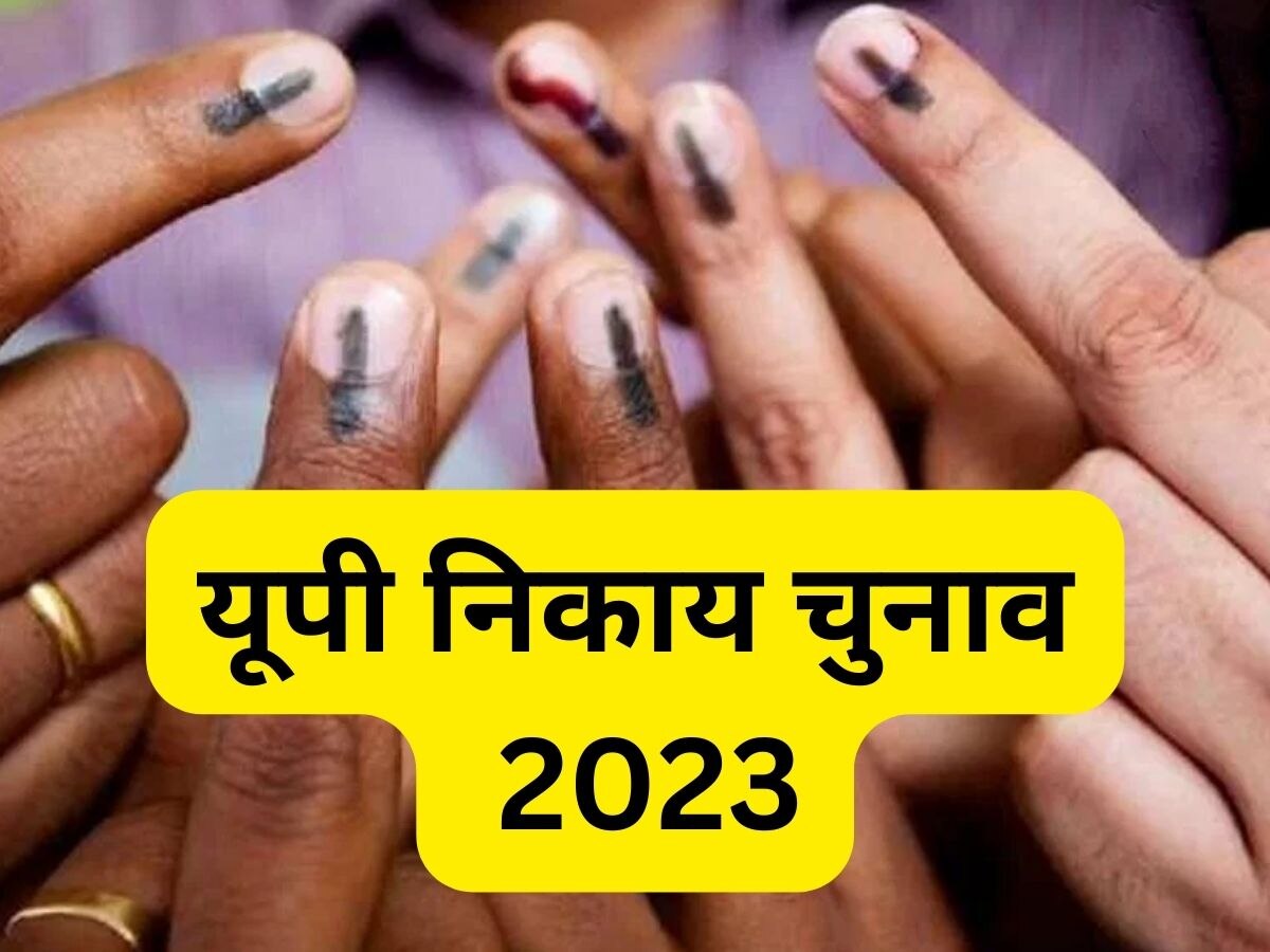 यूपी निकाय चुनाव (UP Nikay Chunav 2023). 