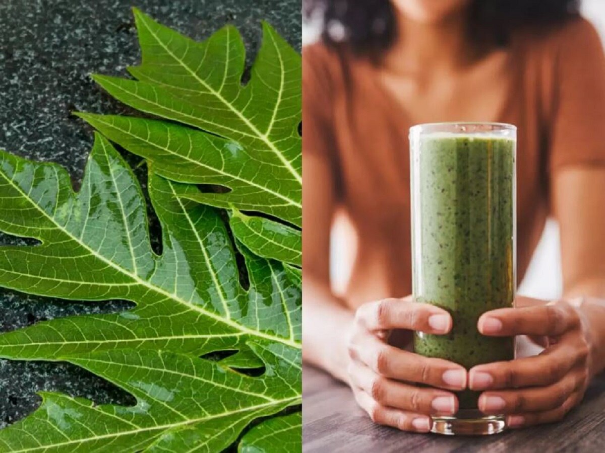 Constipation home remedies Papaya leaf will help you to get rid of