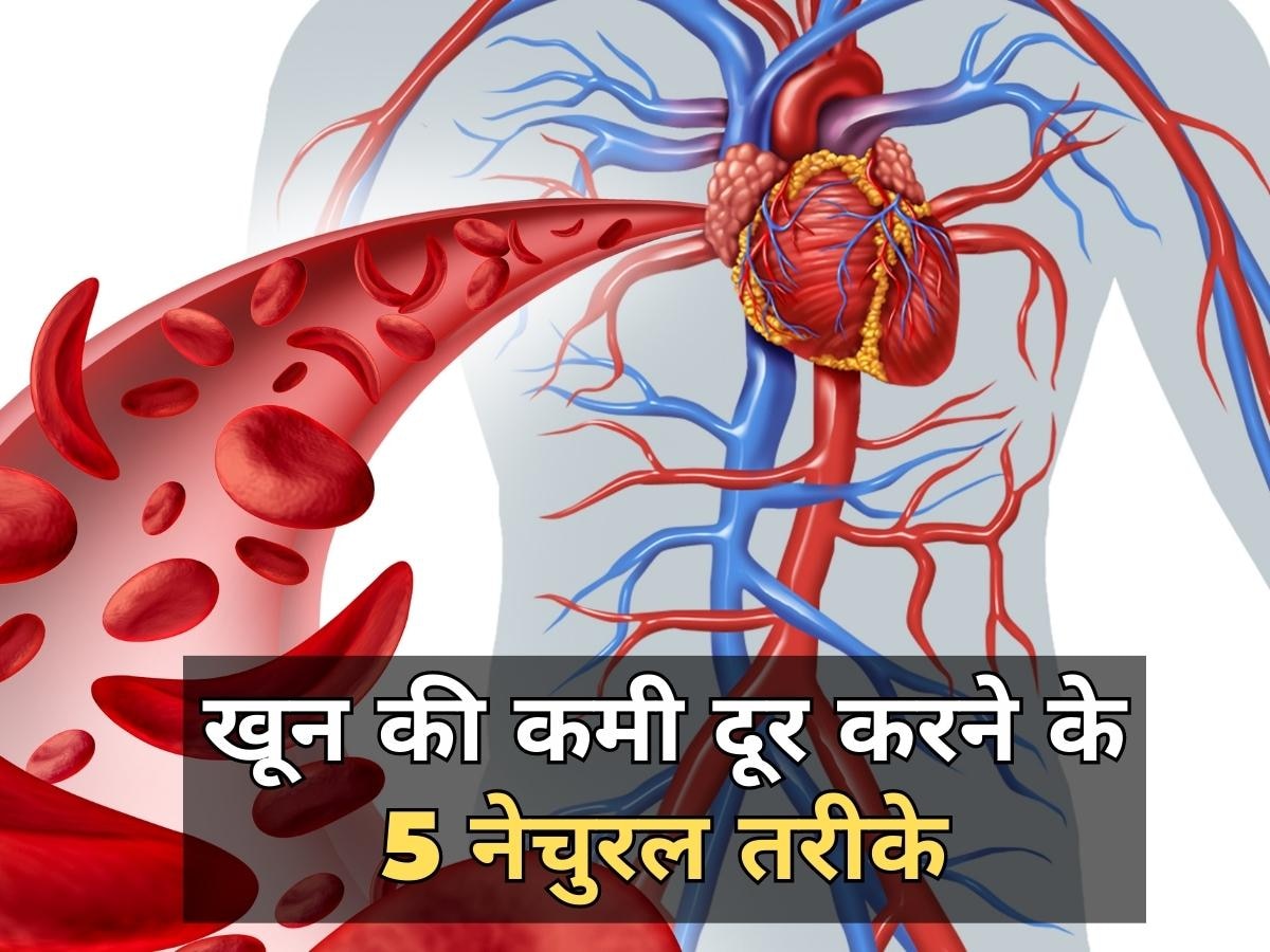 हफ्तेभर में दूर होगी खून की कमी, इन 5 नेचुरल तरीकों से बढ़ाएं Hemoglobin Level