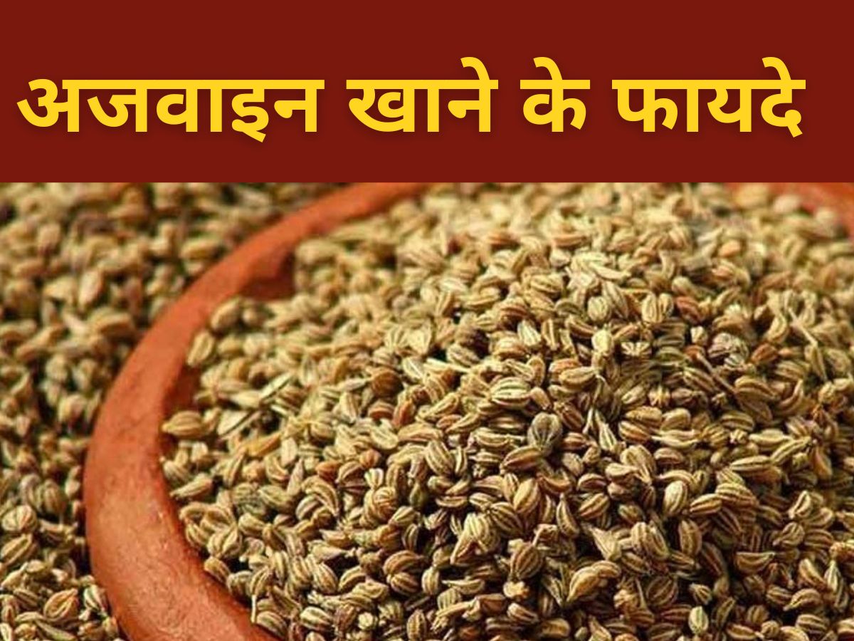 Why we should Eat Carom Seeds Celery Health Benefits Ajwain Khane Ke