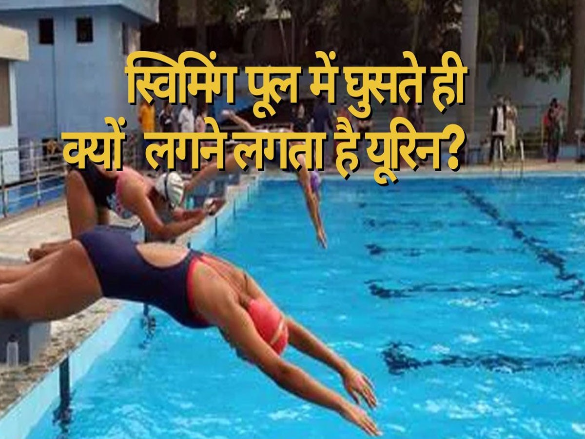 Urination in Swimming Pool: स्विमिंग पूल में उतरते ही क्यों लगने लगता है यूरिन? कभी आपने सोची है इसकी वजह, जान लें सही जवाब