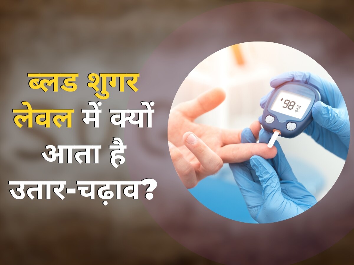 Blood Sugar Level: ब्लड शुगर लेवल में क्यों आता है उतार-चढ़ाव? जानिए 5 बड़े कारण