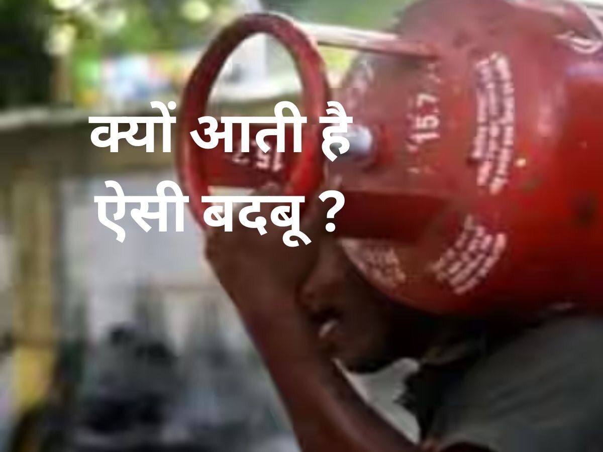 Gas Smell: रसोई गैस से सड़ी हुई बदबू क्यों आती हैं? नहीं जानते हैं तो जान लीजिए..क्या है कारण