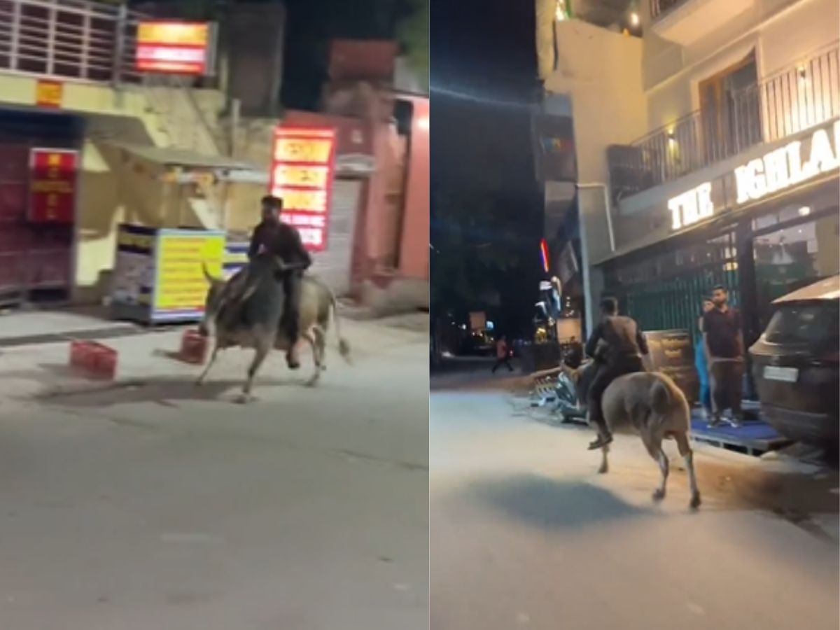 Bull Attack Saand ka Video