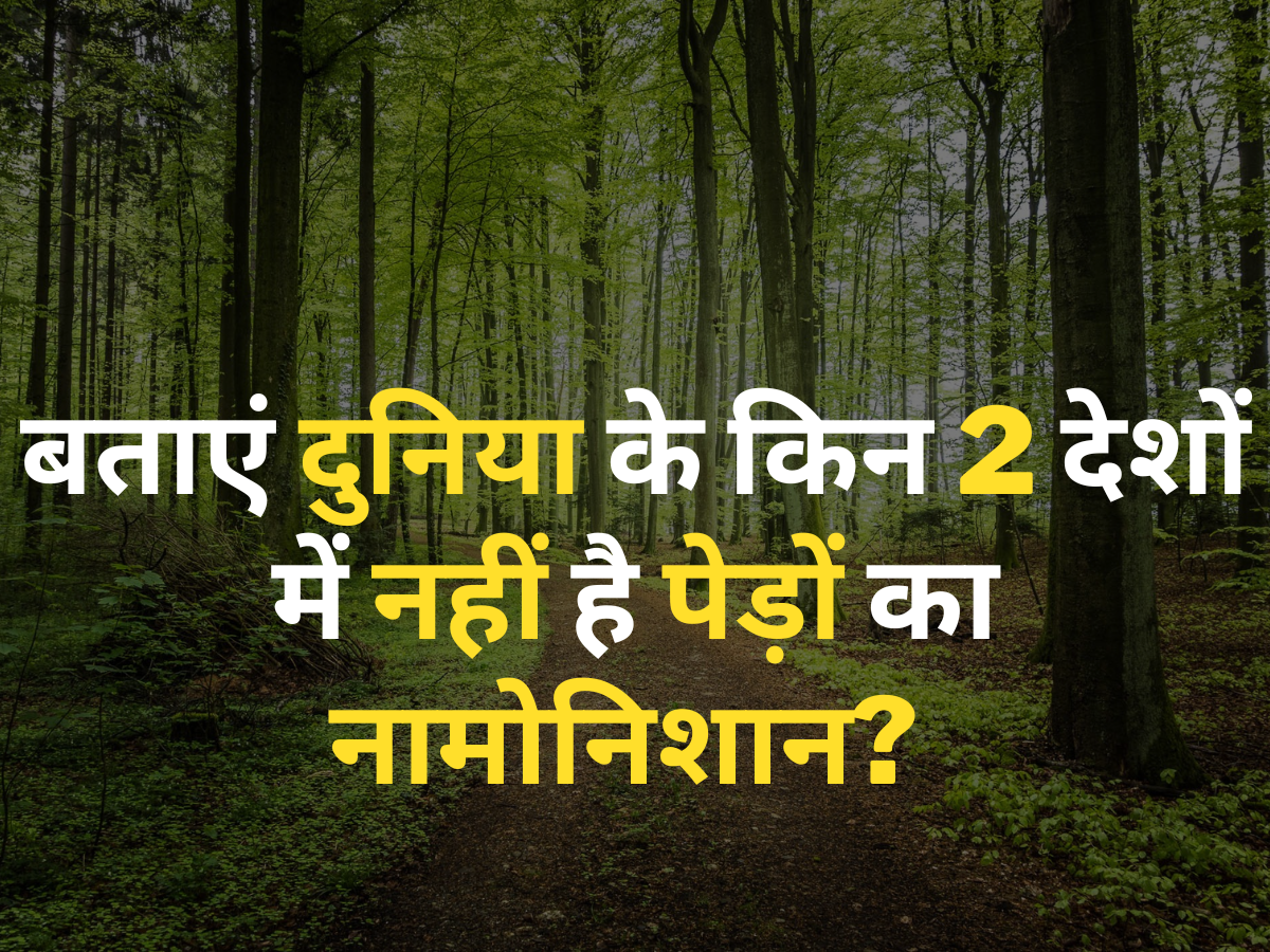 Quiz: आखिर कौन से हैं दुनिया के वो 2 देश, जहां पूरे देश में नहीं है एक भी पेड़? Quiz: आखिर कौन से हैं दुनिया के वो 2 देश, जहां पूरे देश में नहीं है एक भी पेड़?