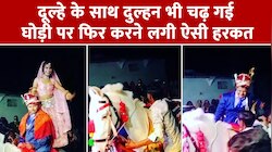 Viral Video: दूल्हे के साथ दुल्हन भी चढ़ गई घोड़ी पर फिर करने लगी ऐसी हरकत