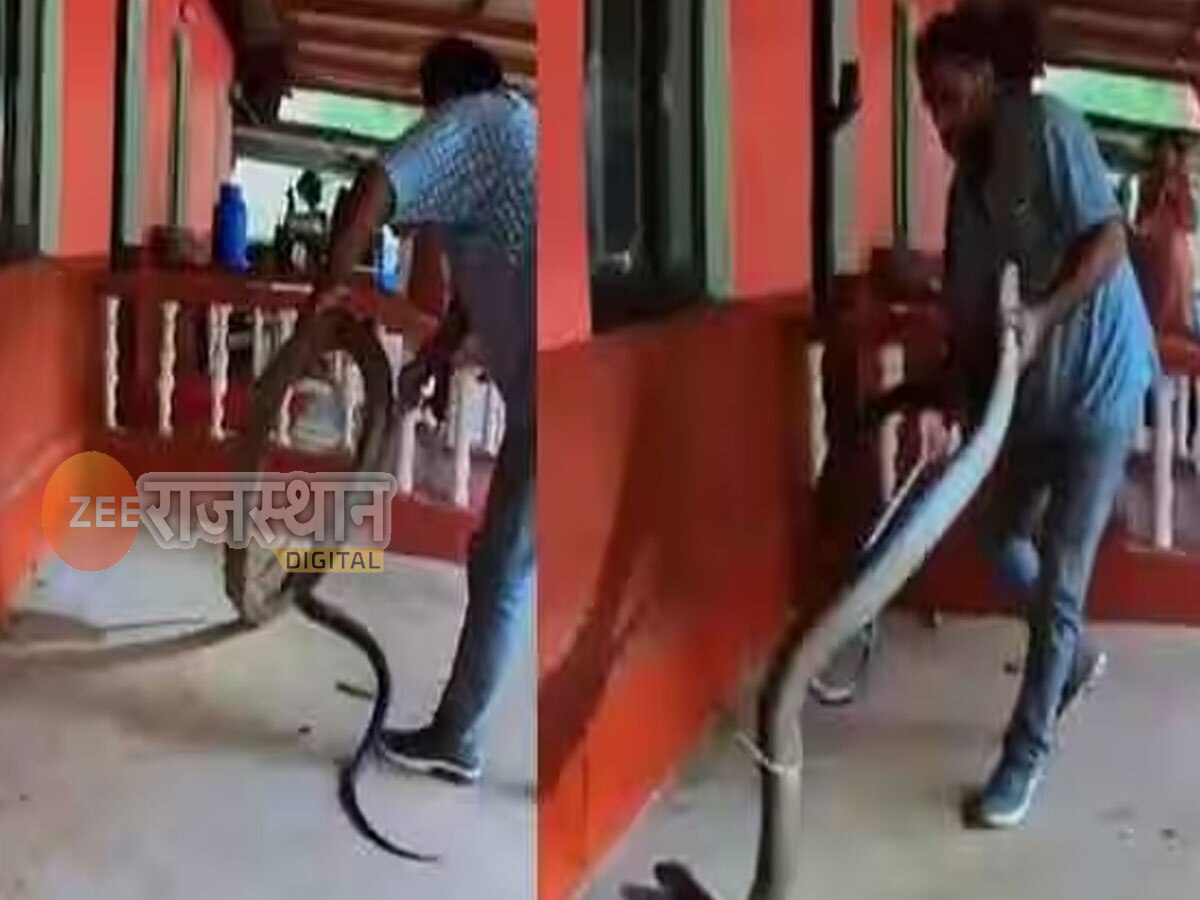 Snake Viral Video: कार के नीचे 15 फीट लंबा कोबरा, हाथ से शख्स ने पकड़कर इशारों पर नचाया, देखिए वीडियो