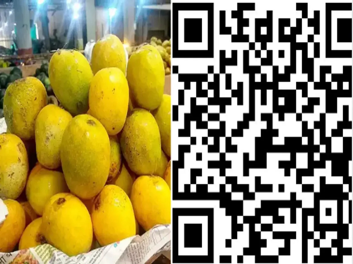 Mango News: ଏଣିକି QR କୋଡ୍ ଜଣାଇଦେବ କେଉଁ ବଗିଚାରୁ ଏବଂ କେଉଁ ପ୍ରଜାତିର ଆମ୍ବ ...