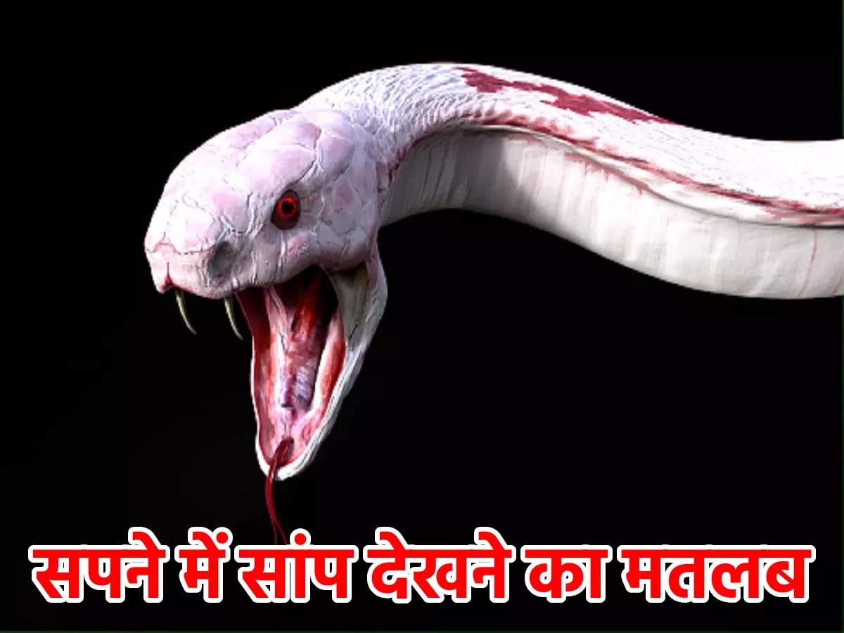 फाइल फोटो 