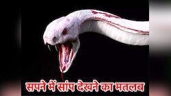 सपने में किस रंग का सांप देखने का क्‍या होता है मतलब? मिलेगा पैसा या होगी हानि 