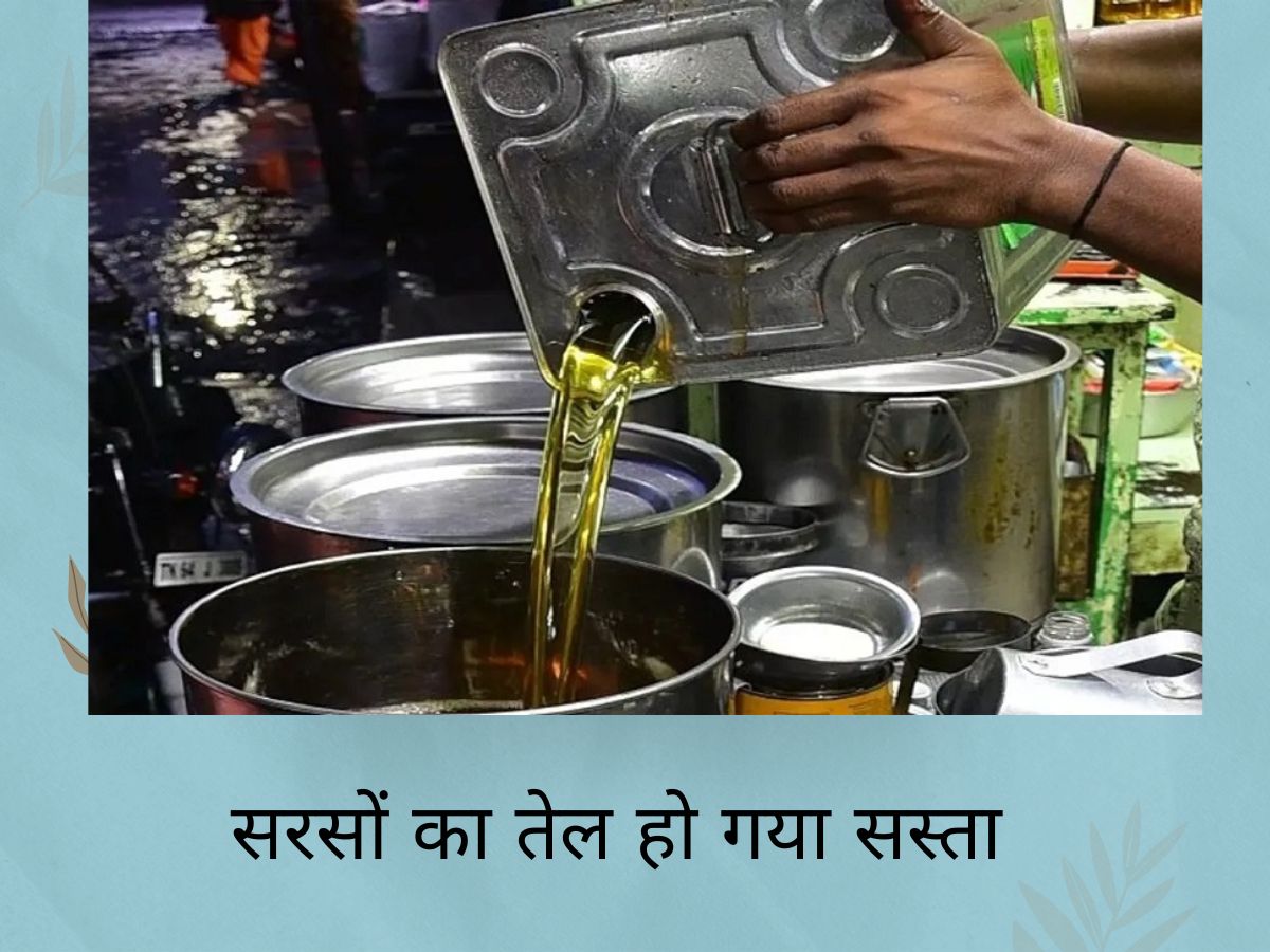 edible oil price down on 9 may 2023 mustard oil price Sarso Tel Ka Bhav Mustard Oil Price