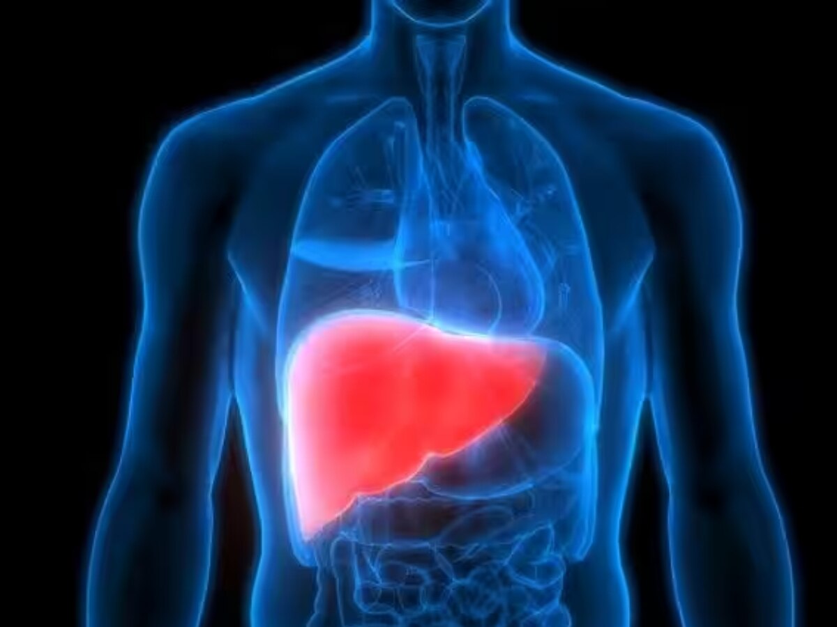 Fatty Liver: फैटी लिवर से अगर हैं परेशान, तो घर पर करें ये जरूरी काम