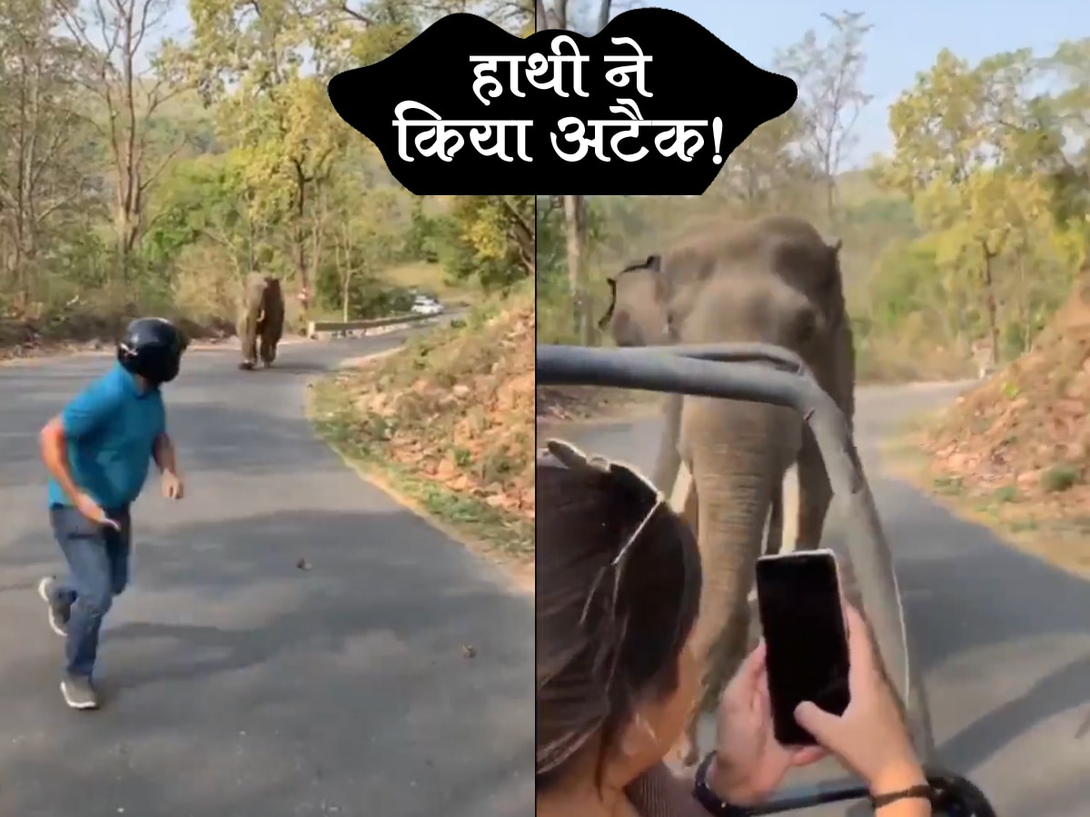 मौत के करीब होने के बावजूद Video बनाती रहीं दीदी, हाथी ने दौड़ते हुए आकर किया ऐसा