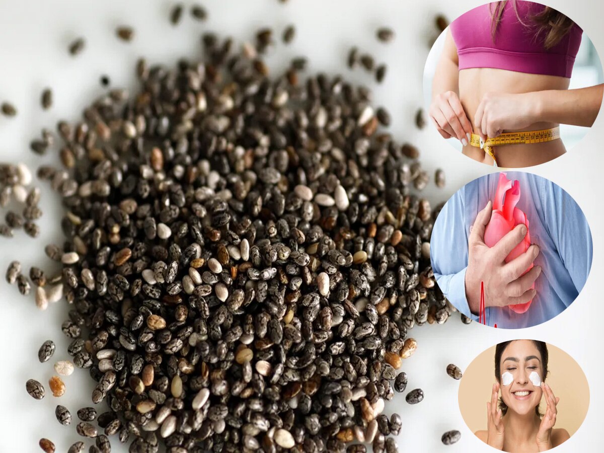 Chia seeds Benefits beneficial for weight loss other health problems see the detail Chia seeds