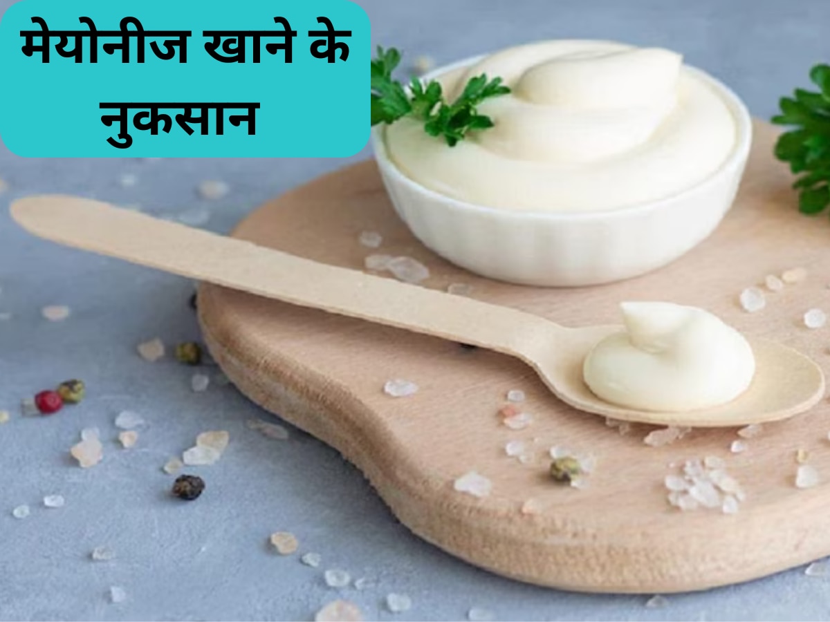 Mayonnaise: आप भी हैं मेयोनीज खाने के शौकीन? लगाने पड़ सकते हैं अस्पताल के चक्कर, ये हैं बड़े नुकसान