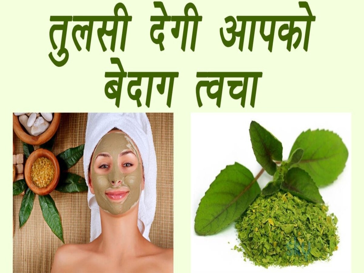 Healthy Skin: चेहरे के मुहांसे और झाइयों का काल है तुलसी, बस ये 2 चीजें मिलाकर लगाएं