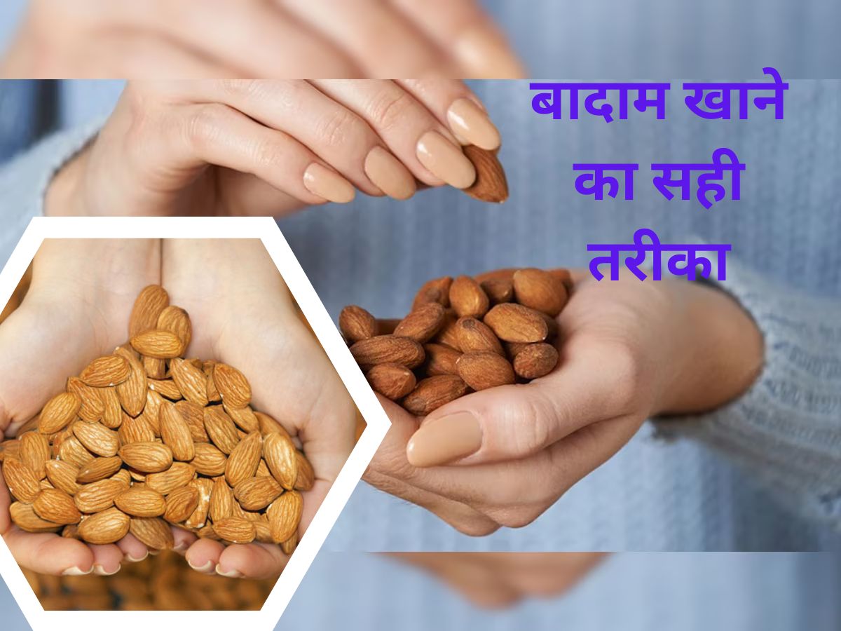 how many almonds should person eat in a day according to your digestive