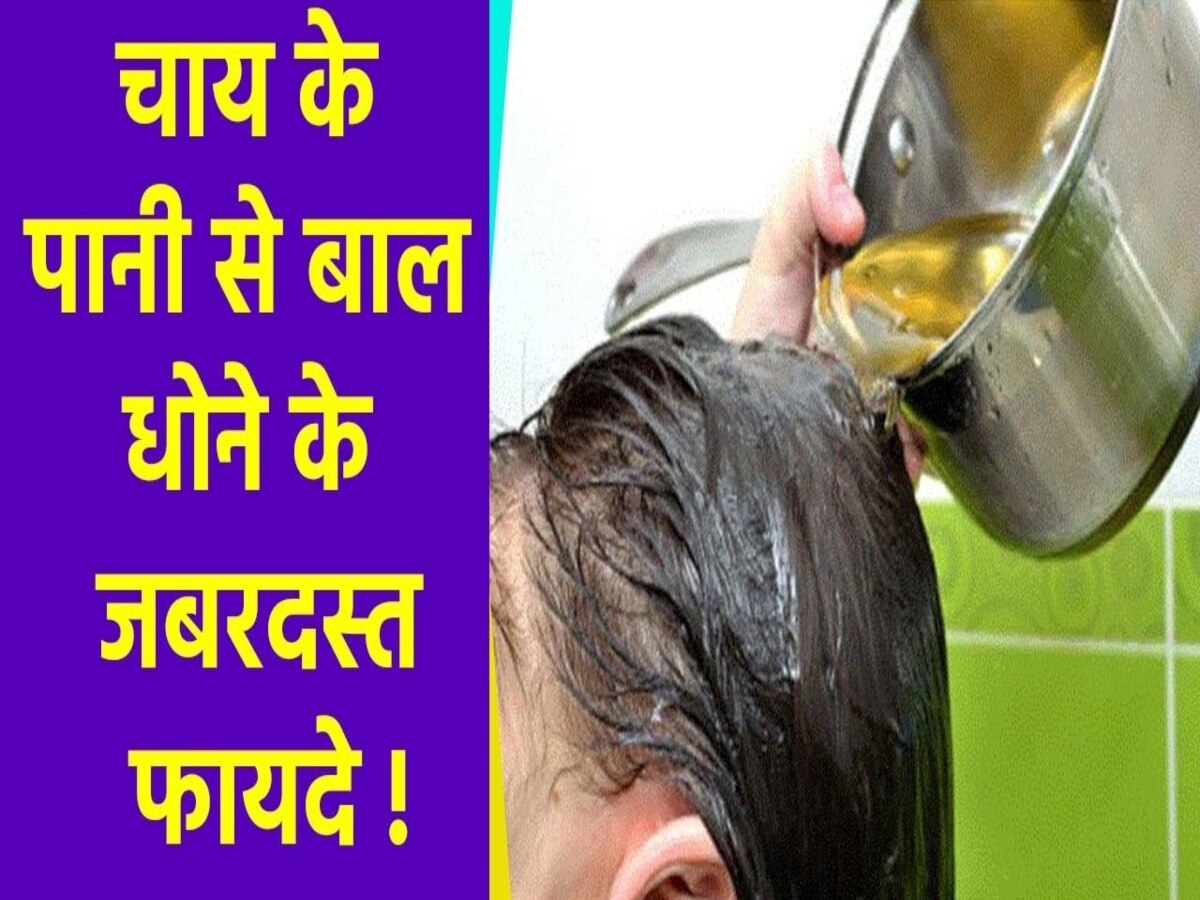 Hair Growth: बालों में इस्तेमाल करें चाय पत्ती का पानी, रूखे बालों में चमक रहेगी बरकरार