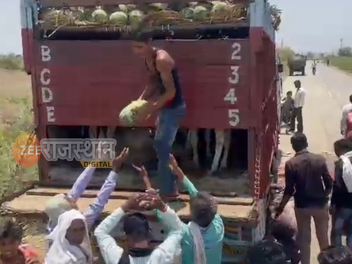 Jhalawar News Cow Smuggling Was Being Done By Trucks In The Guise Of Transporting Watermelons