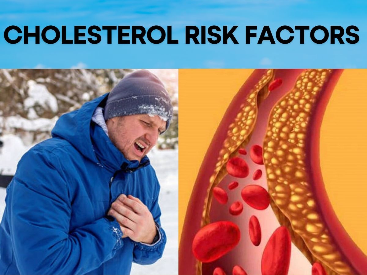 Bad Cholesterol आपके शरीर के इन हिस्सों पर करता है वार, सेहत के इस 'दुश्मन' को तुरंत करें 'बाय बाय'