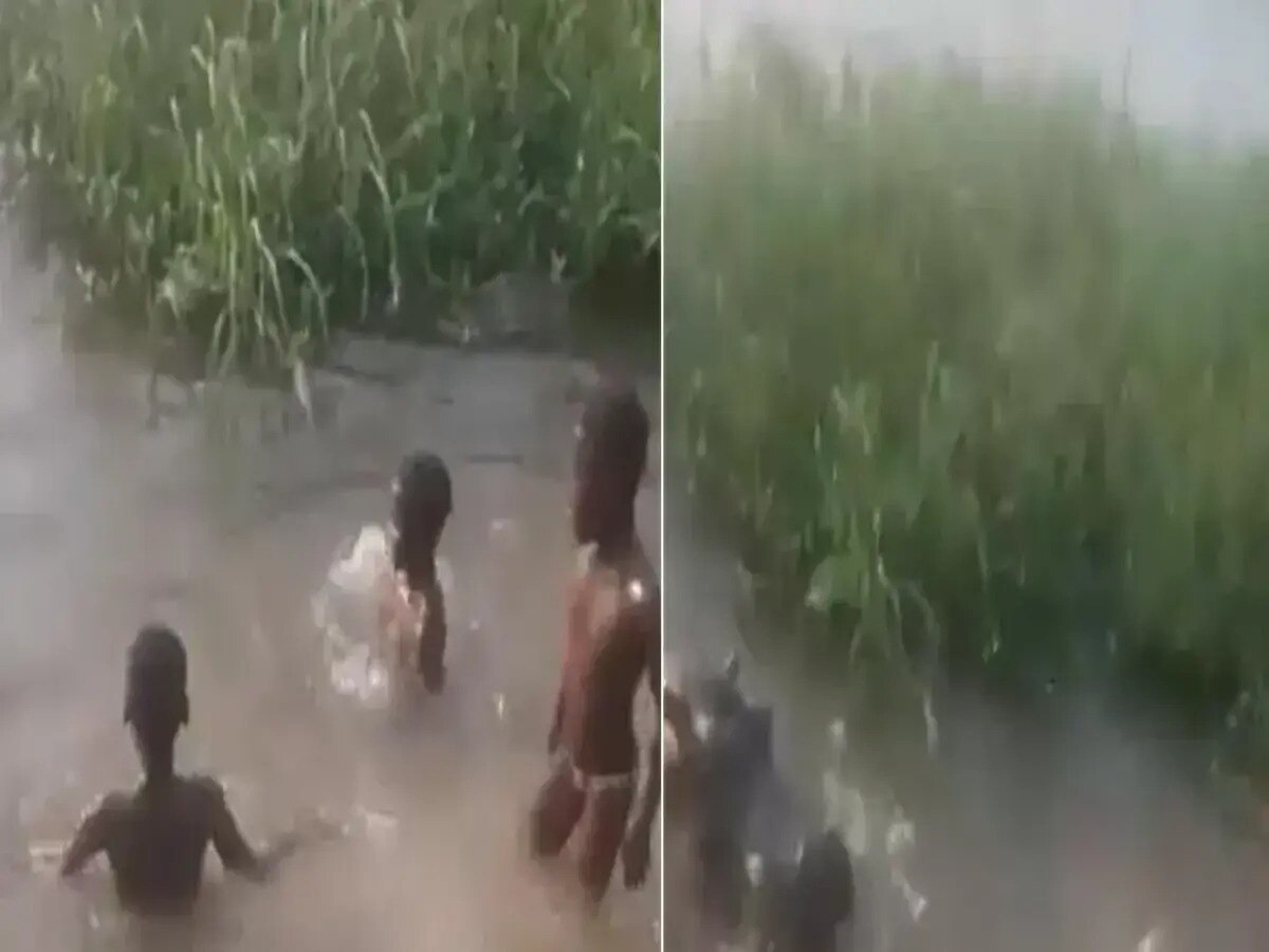 Hippopotamus Viral Video: ପାଣିରେ ଖେଳୁଥିବା ବେଳେ ପିଲାଙ୍କ ଆଡକୁ ମାଡ଼ି ଆସିଲା ହିପୋପୋଟାମସ୍, ଅଳ୍ପକେ ବର୍ତ୍ତିଲା ଜୀବନ 