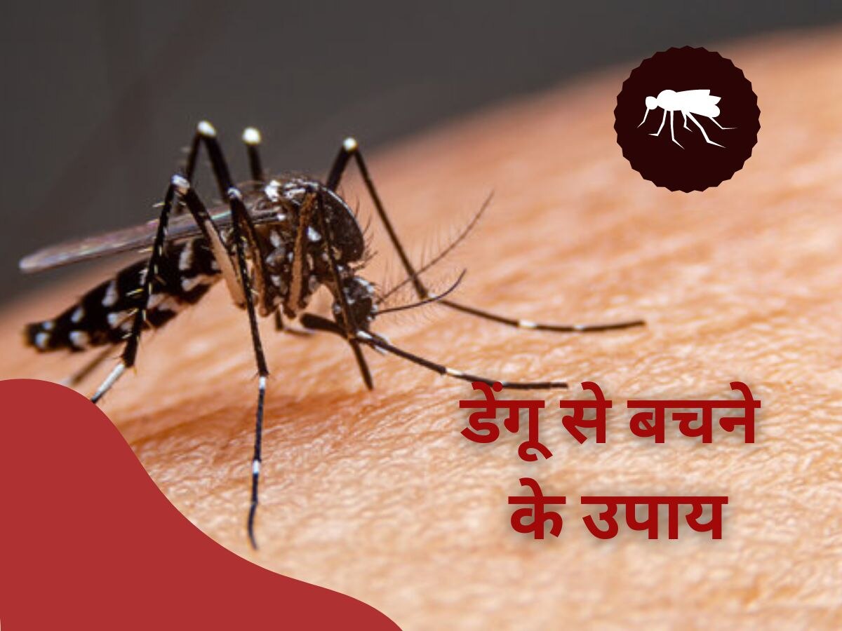 National Dengue Day 2023: डेंगू बुखार में अचानक गिरने लगती हैं Platelets, ये आयुर्वेदिक दवा करेगी ठीक