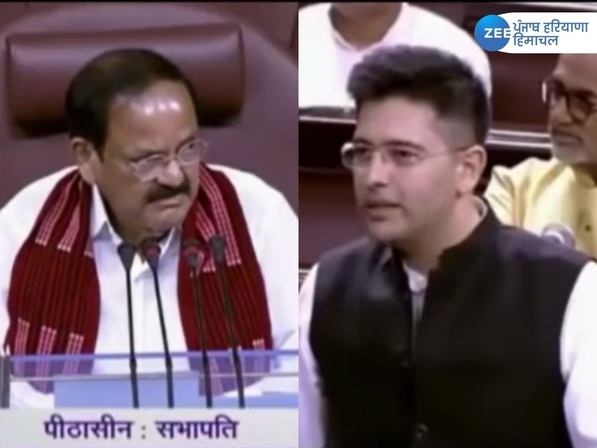 Viral Video: जब स्पीकर नायडू ने प्यार को लेकर पूछा सवाल, Raghav Chadha बोले, 'हां अच्छा होता है...' 