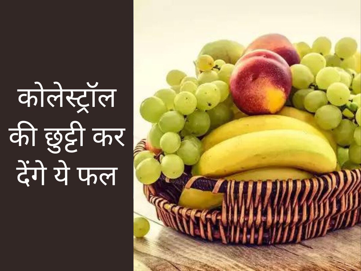 बॉडी में जम गया है Cholesterol? रोज खाएं ये फल, कोलेस्ट्रॉल की हो जाएगी छुट्टी