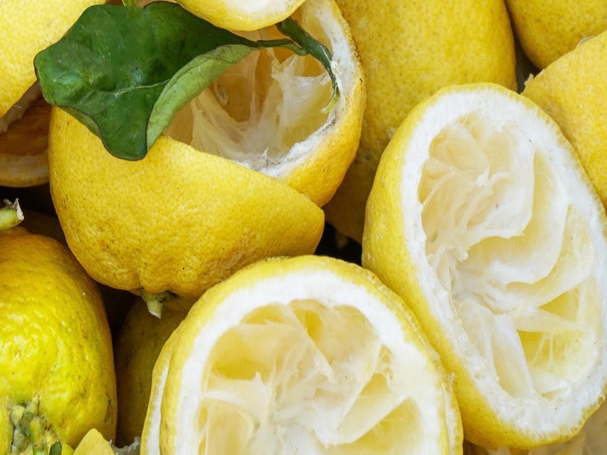 Lemon Peel Benefits: नींबू के छिलकों के ये 5 फायदे जानने के बाद फेंकने से पहले सोचेंगे दो बार