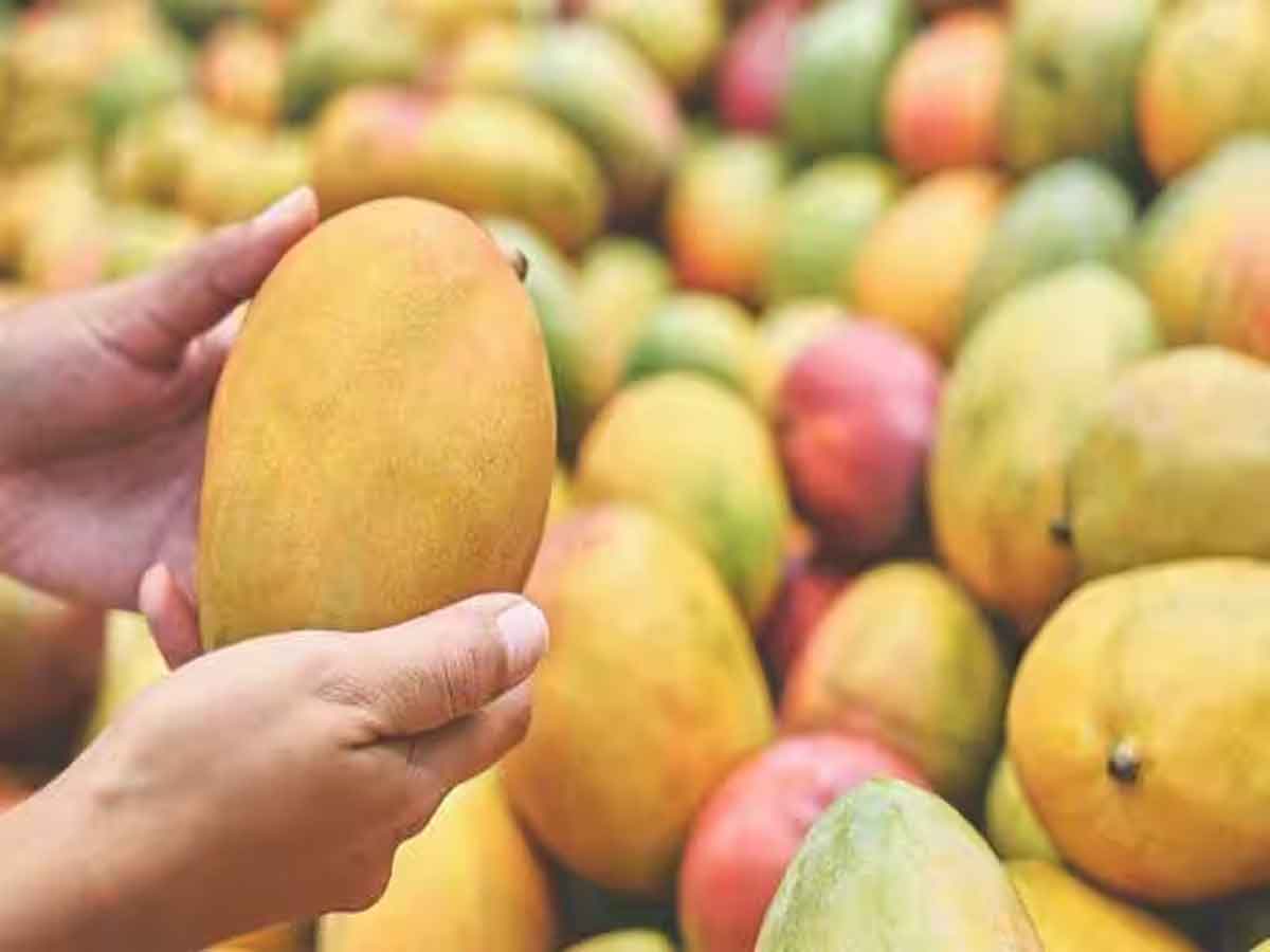 These 5 Tips Will Help You To Identify Chemically Ripened Mangoes