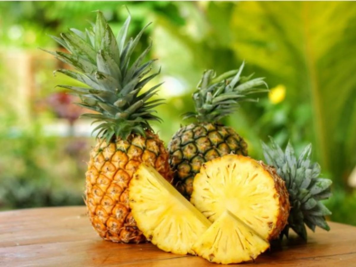 Pineapple Benefits And Side Effects: क्या सच में अनानास खाने से बढ़ता है शुगर? जानिए इसके फायदे और नुकसान