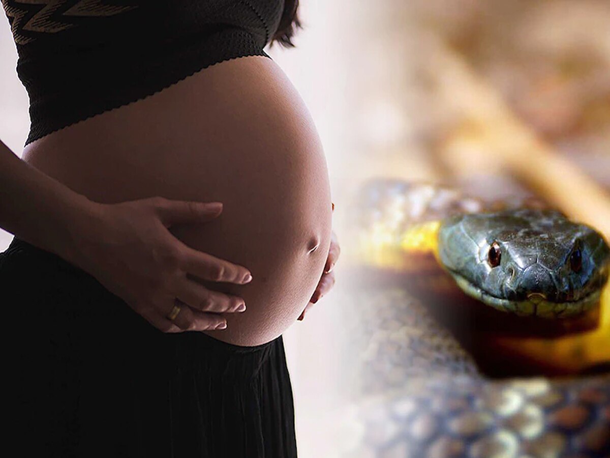 शर्त लगा लें, नहीं जानते होंगे गर्भवती महिला और सांप के काटने का ये