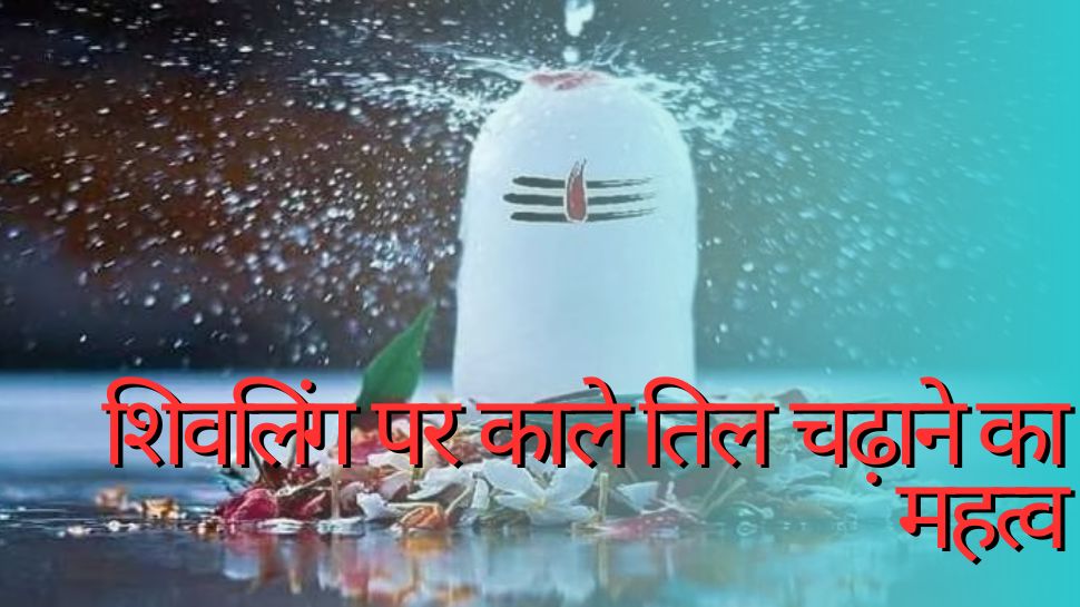 Monday Upay: आखिर भगवान शिव को क्यों पसंद हैं काले तिल, शिवलिंग पर अर्पित करने से मिलते हैं कई लाभ Monday Upay: आखिर भगवान शिव को क्यों पसंद हैं काले तिल, शिवलिंग पर अर्पित करने से मिलते हैं कई लाभ